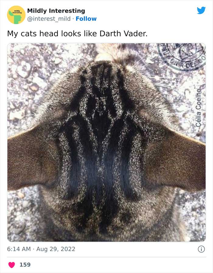 This Twitter Account Posts Things That Are Merely Amusing (40 Pics) This Twitter Account Posts Things That Are Merely Amusing (40 Pics)