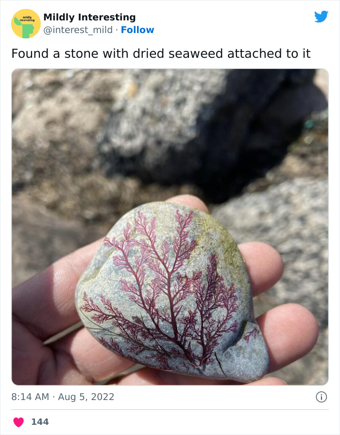 This Twitter Account Posts Things That Are Merely Amusing (40 Pics) This Twitter Account Posts Things That Are Merely Amusing (40 Pics)