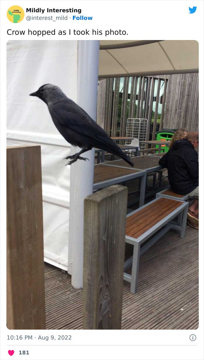 This Twitter Account Posts Things That Are Merely Amusing (40 Pics) This Twitter Account Posts Things That Are Merely Amusing (40 Pics)