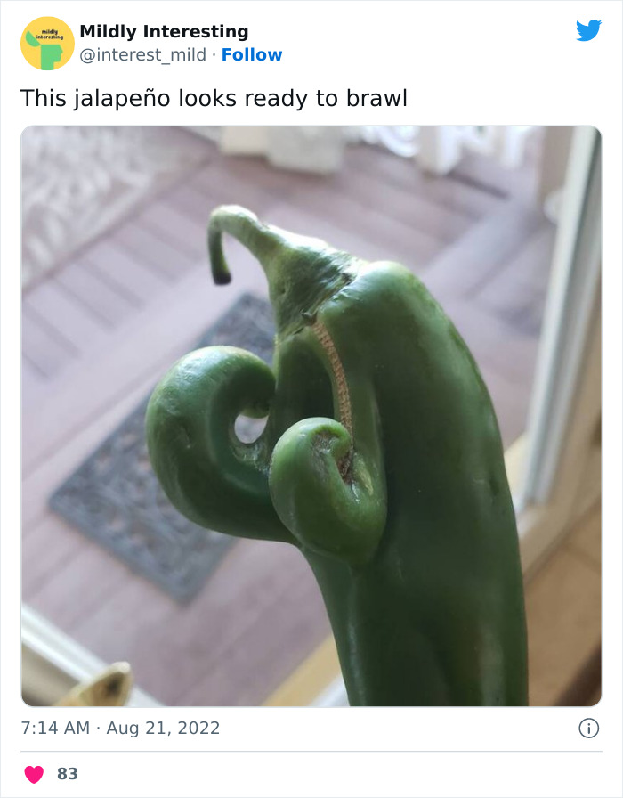 This Twitter Account Posts Things That Are Merely Amusing (40 Pics) This Twitter Account Posts Things That Are Merely Amusing (40 Pics)