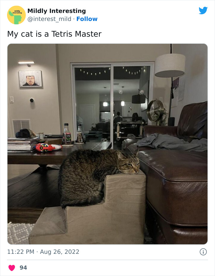 This Twitter Account Posts Things That Are Merely Amusing (40 Pics) This Twitter Account Posts Things That Are Merely Amusing (40 Pics)