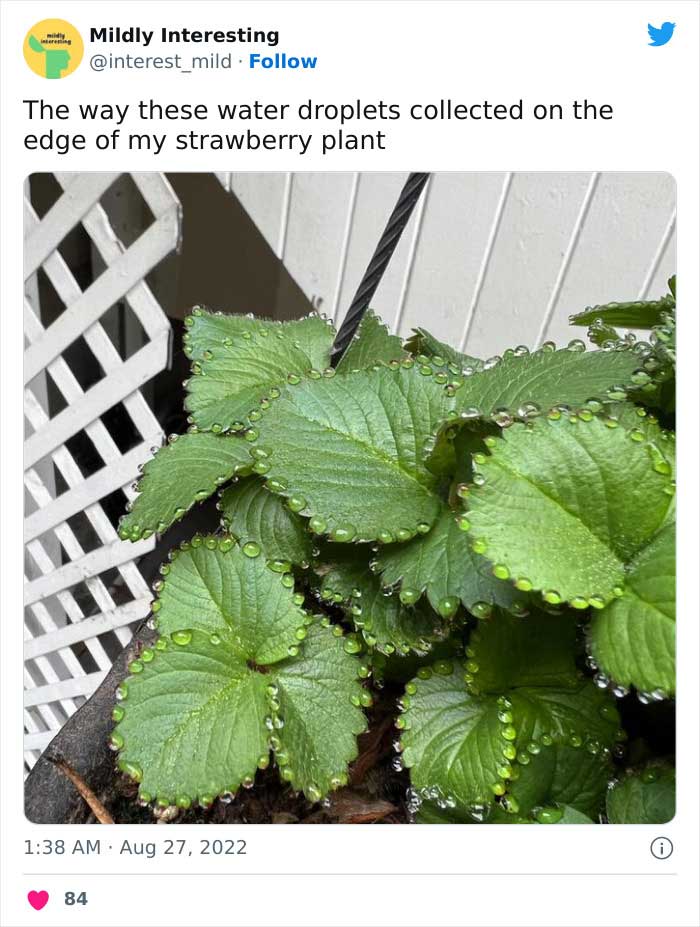 This Twitter Account Posts Things That Are Merely Amusing (40 Pics) This Twitter Account Posts Things That Are Merely Amusing (40 Pics)