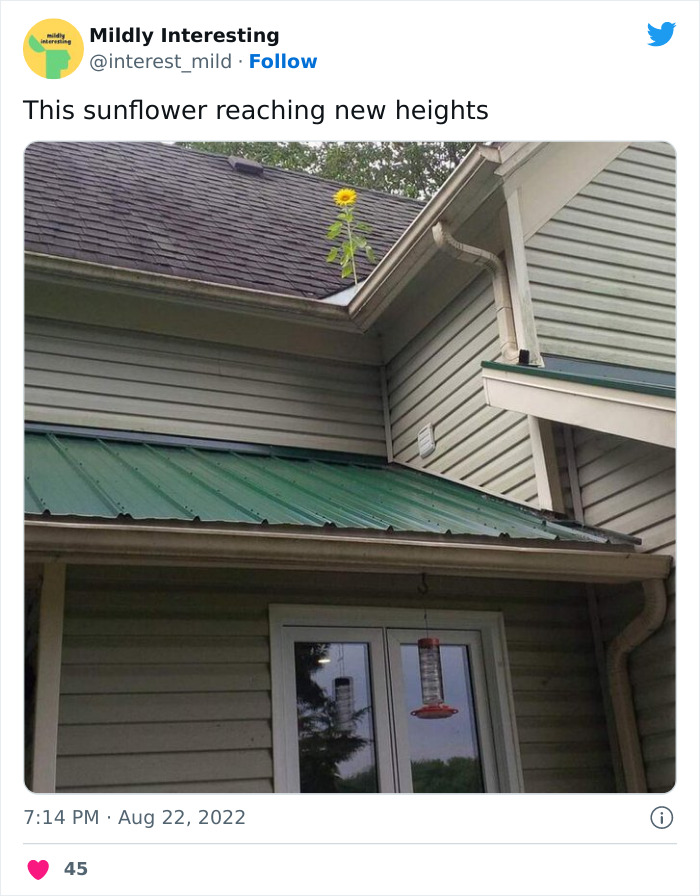 This Twitter Account Posts Things That Are Merely Amusing (40 Pics) This Twitter Account Posts Things That Are Merely Amusing (40 Pics)