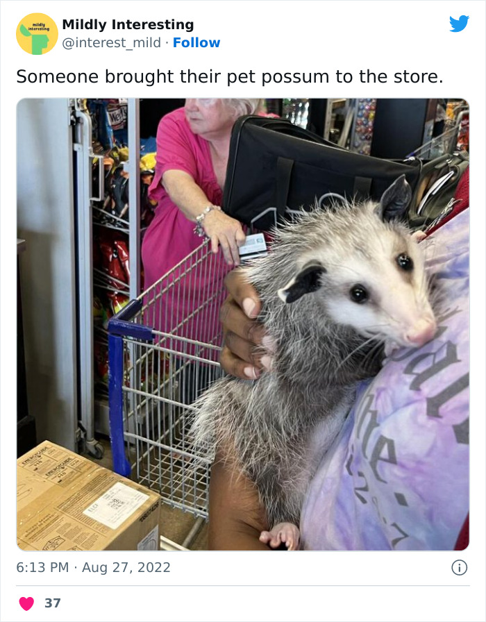 This Twitter Account Posts Things That Are Merely Amusing (40 Pics) This Twitter Account Posts Things That Are Merely Amusing (40 Pics)