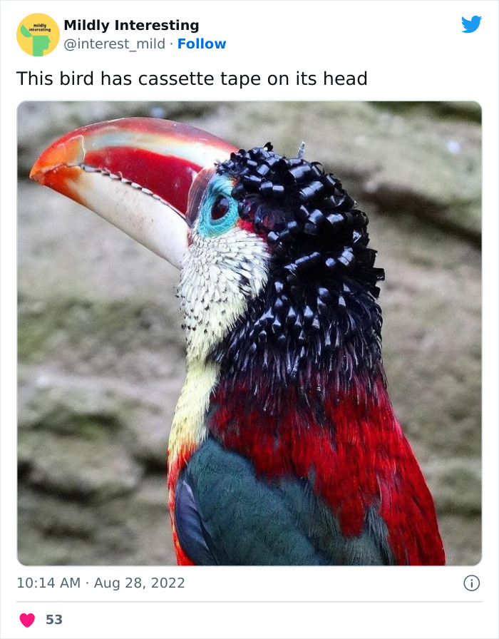 This Twitter Account Posts Things That Are Merely Amusing (40 Pics) This Twitter Account Posts Things That Are Merely Amusing (40 Pics)