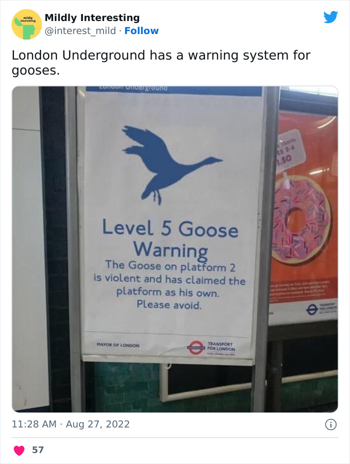 This Twitter Account Posts Things That Are Merely Amusing (40 Pics) This Twitter Account Posts Things That Are Merely Amusing (40 Pics)