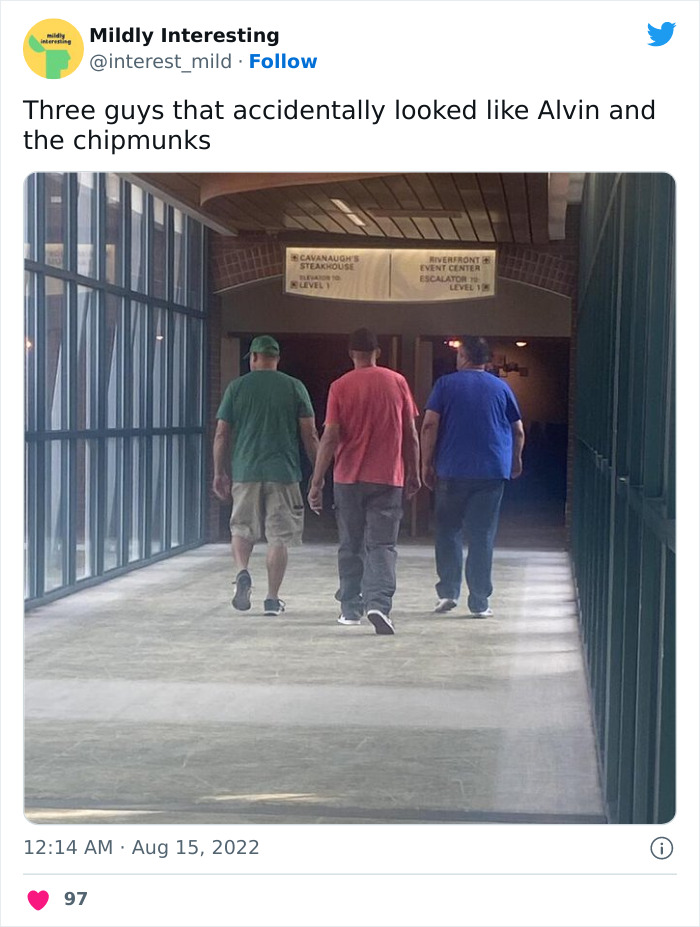 This Twitter Account Posts Things That Are Merely Amusing (40 Pics) This Twitter Account Posts Things That Are Merely Amusing (40 Pics)