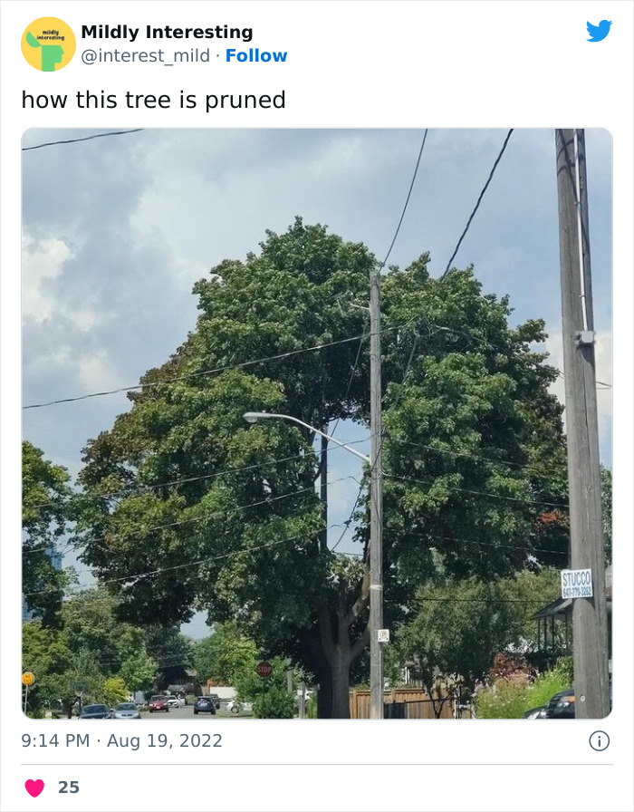 This Twitter Account Posts Things That Are Merely Amusing (40 Pics) This Twitter Account Posts Things That Are Merely Amusing (40 Pics)