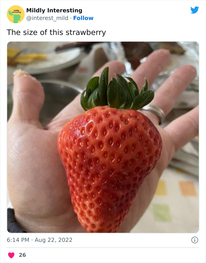 This Twitter Account Posts Things That Are Merely Amusing (40 Pics) This Twitter Account Posts Things That Are Merely Amusing (40 Pics)