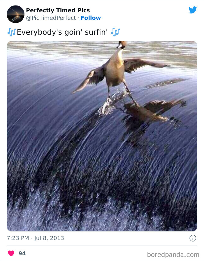 50 “Perfectly Timed Pics” That Might Make You Look Twice 50 “Perfectly Timed Pics” That Might Make You Look Twice