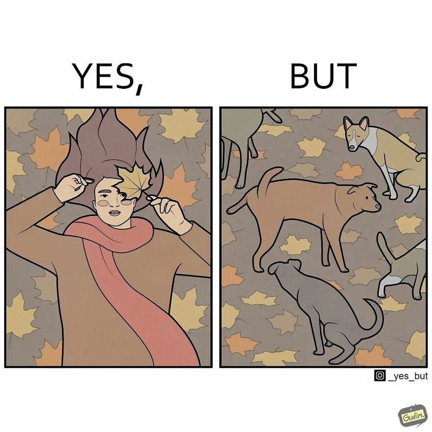 Artist Captures The Irony Of Everyday Moments In 26 “Yes, But” Illustrations (New Pics) Artist Captures The Irony Of Everyday Moments In 26 “Yes, But” Illustrations (New Pics)