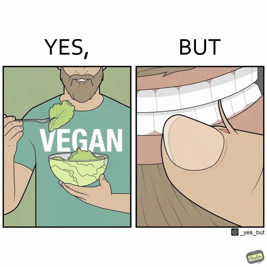 Artist Captures The Irony Of Everyday Moments In 26 “Yes, But” Illustrations (New Pics) Artist Captures The Irony Of Everyday Moments In 26 “Yes, But” Illustrations (New Pics)