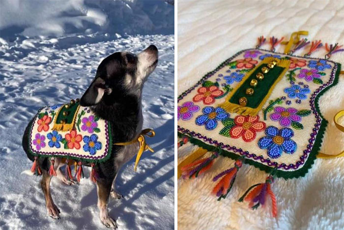 “Meanwhile, In Canada”: 50 Photos That Perfectly Sum Up Canada (New Pics) “Meanwhile, In Canada”: 50 Photos That Perfectly Sum Up Canada (New Pics)