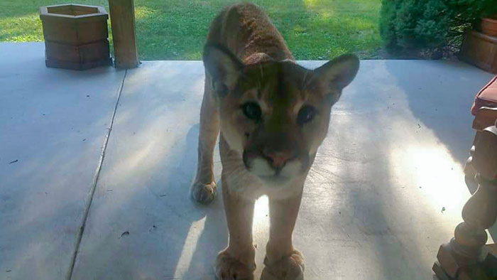 “Meanwhile, In Canada”: 50 Photos That Perfectly Sum Up Canada (New Pics) “Meanwhile, In Canada”: 50 Photos That Perfectly Sum Up Canada (New Pics)