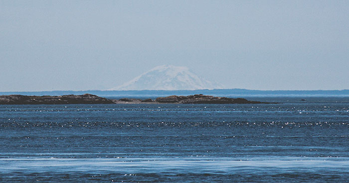 “Meanwhile, In Canada”: 50 Photos That Perfectly Sum Up Canada (New Pics) “Meanwhile, In Canada”: 50 Photos That Perfectly Sum Up Canada (New Pics)