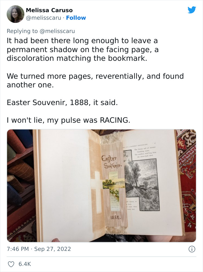 20 Pics From A “Labyrinthine Magical Bookstore That You Might Have Thought Only Existed In The Stories”, As Shared In This Twitter Thread 20 Pics From A “Labyrinthine Magical Bookstore That You Might Have Thought Only Existed In The Stories”, As Shared In This Twitter Thread