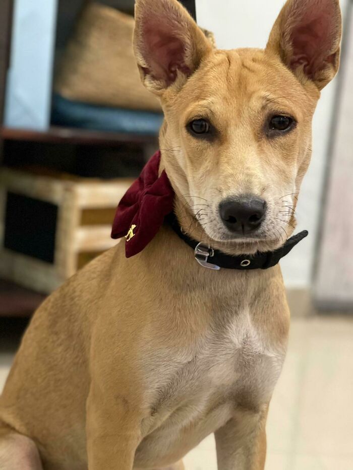 Hey Pandas, Show Us The Best Animal Picture You Took (Closed)