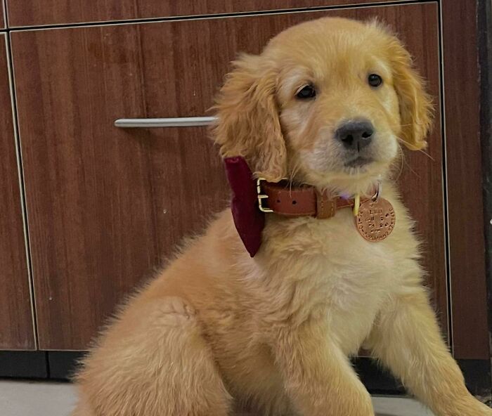 Hey Pandas, Show Us The Best Animal Picture You Took (Closed) Hey Pandas, Show Us The Best Animal Picture You Took (Closed)