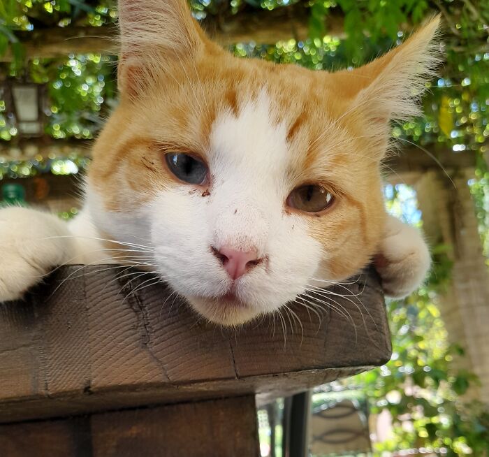 Hey Pandas, Show Us The Best Animal Picture You Took (Closed) Hey Pandas, Show Us The Best Animal Picture You Took (Closed)