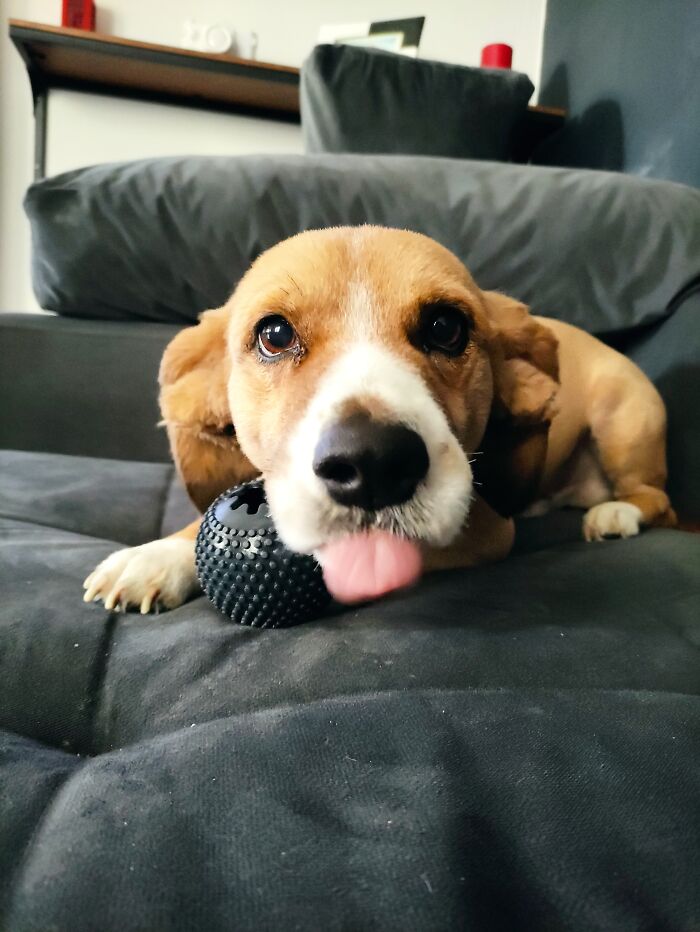 Hey Pandas, Show Us The Best Animal Picture You Took (Closed)