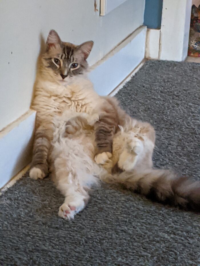 Hey Pandas, Show Us The Best Animal Picture You Took (Closed) Hey Pandas, Show Us The Best Animal Picture You Took (Closed)