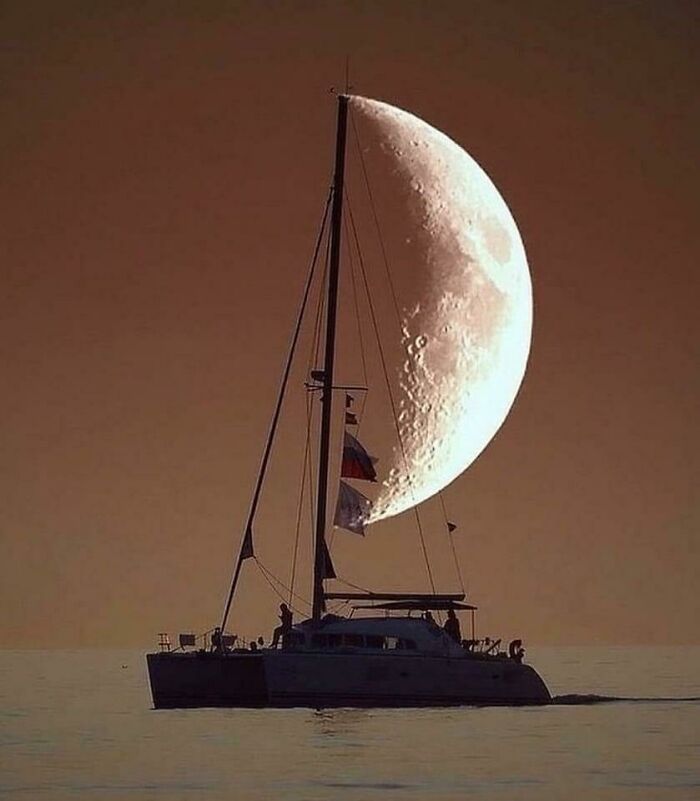 41 “That’s Awesome” Kind Of Things People Came Across And Shared In This Dedicated Online Group 41 “That’s Awesome” Kind Of Things People Came Across And Shared In This Dedicated Online Group