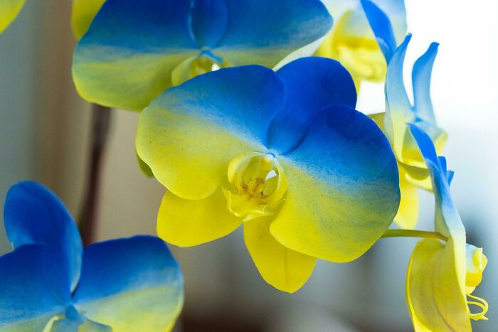 41 “That’s Awesome” Kind Of Things People Came Across And Shared In This Dedicated Online Group