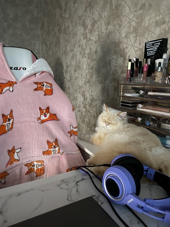 Hey Pandas, Fall Is Here! Show Us Your Favorite Comfy And Cozy Piece Of Clothing (Closed) Hey Pandas, Fall Is Here! Show Us Your Favorite Comfy And Cozy Piece Of Clothing (Closed)