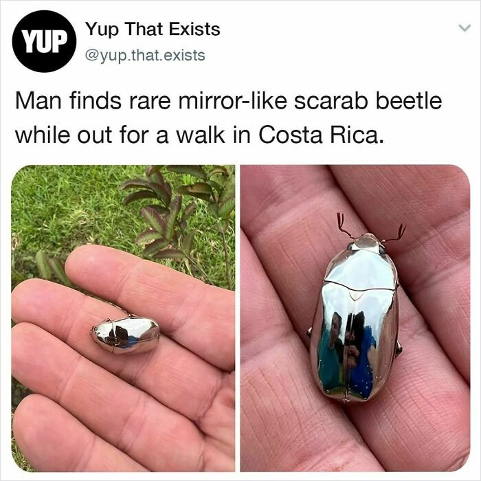 30 Things You Probably Never Knew Existed Shared By “Yup That Exists” Instagram Page (New Pics) 30 Things You Probably Never Knew Existed Shared By “Yup That Exists” Instagram Page (New Pics)