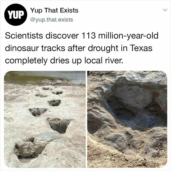 30 Things You Probably Never Knew Existed Shared By “Yup That Exists” Instagram Page (New Pics) 30 Things You Probably Never Knew Existed Shared By “Yup That Exists” Instagram Page (New Pics)