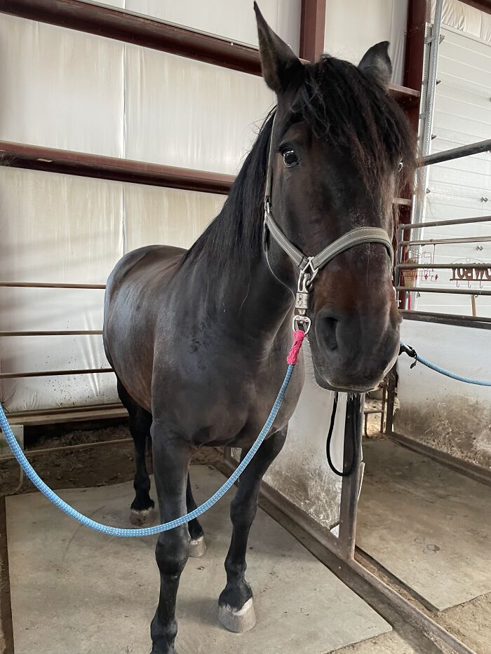 Hey Pandas, Post A Picture Of Your Special Needs Or Senior Pet (Closed)