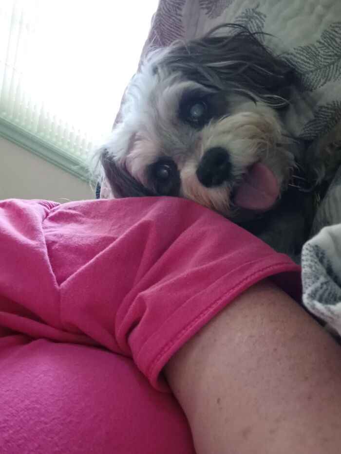 Hey Pandas, Post A Picture Of Your Special Needs Or Senior Pet (Closed)