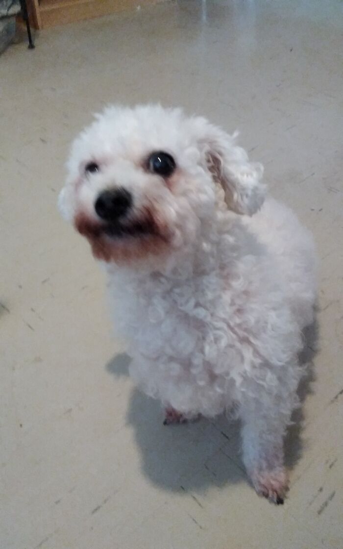 Hey Pandas, Post A Picture Of Your Special Needs Or Senior Pet (Closed)