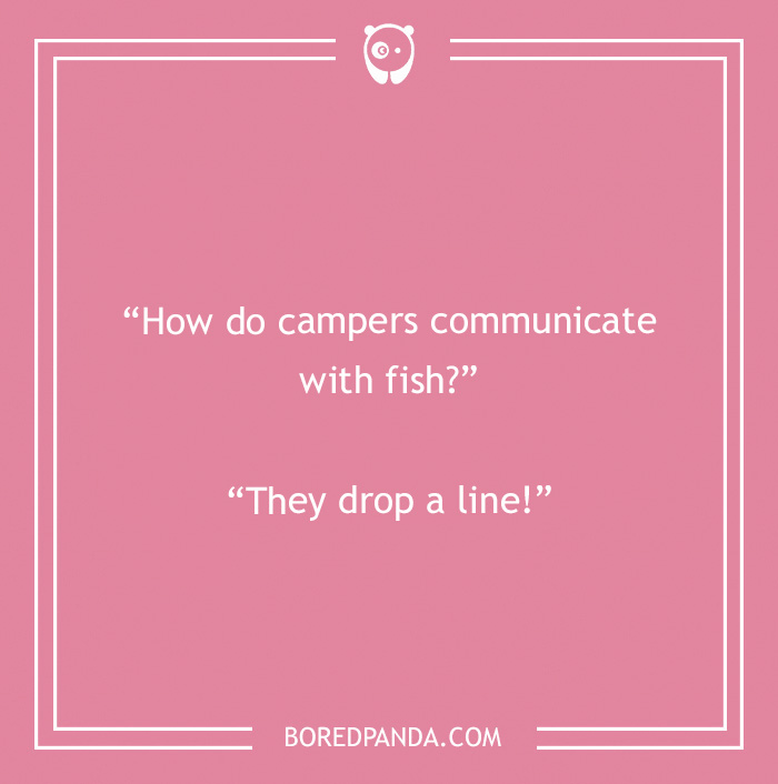 134 Camping Jokes That Are A Real Wild Ride 134 Camping Jokes That Are A Real Wild Ride