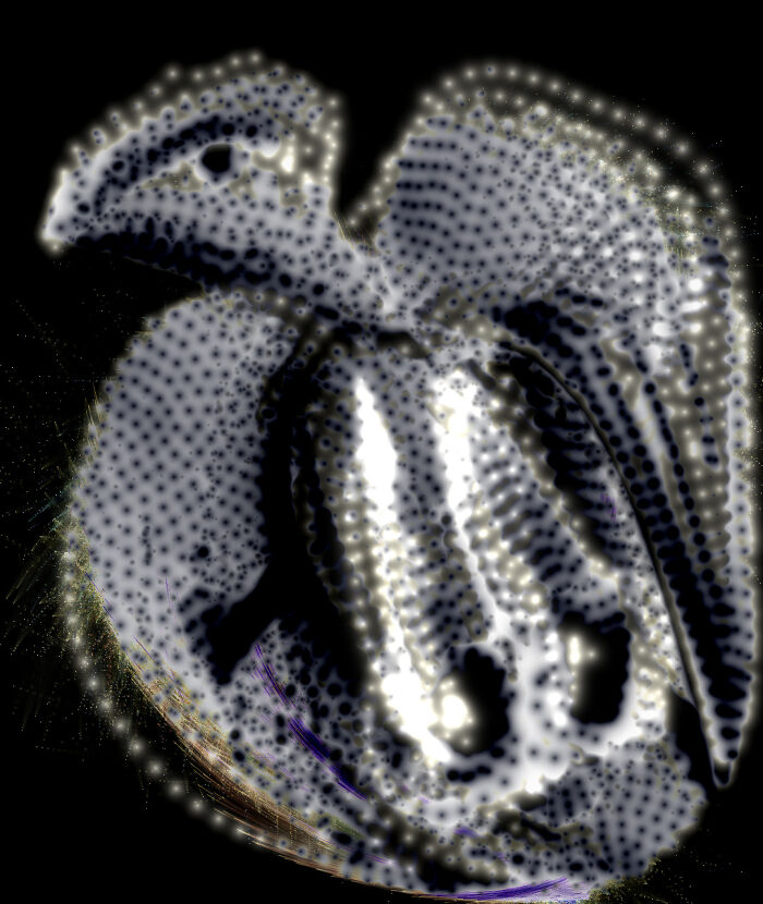 Hey Pandas, Draw A Bored Panda Mascot And Show Your Results Hey Pandas, Draw A Bored Panda Mascot And Show Your Results