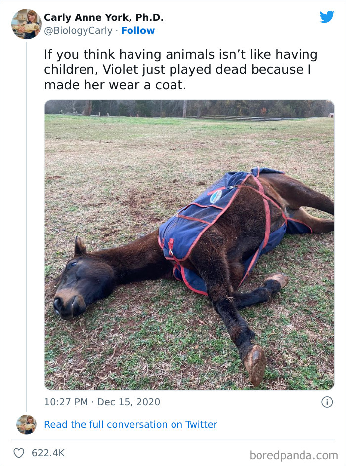 “Very Important Positivity”: If You Are Feeling Down, These 50 Wholesome Posts Might Make Your Day “Very Important Positivity”: If You Are Feeling Down, These 50 Wholesome Posts Might Make Your Day