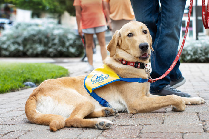 Traveler Is Told She Was Wrong For Asking A Woman With A Service Dog To Leave Her Compartment She Paid For So She Wants The Internet’s Opinion