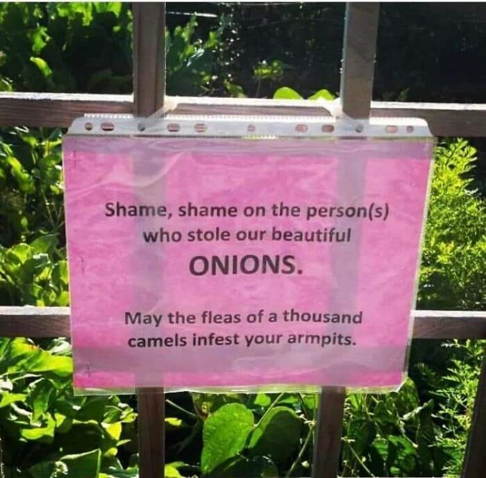 50 Times People Found Weird Or Hilarious Disclaimers That Were “Clearly The Result Of A Lawsuit” 50 Times People Found Weird Or Hilarious Disclaimers That Were “Clearly The Result Of A Lawsuit”