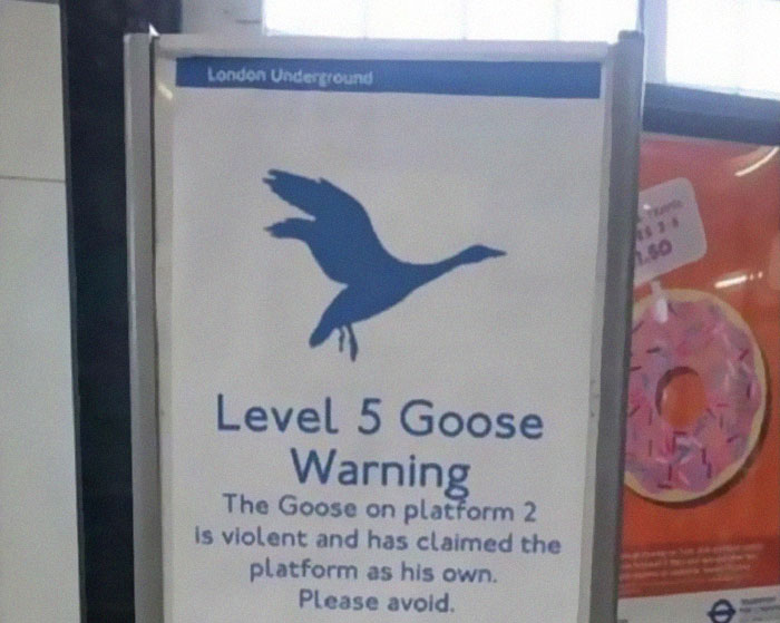 50 Times People Found Weird Or Hilarious Disclaimers That Were “Clearly The Result Of A Lawsuit” 50 Times People Found Weird Or Hilarious Disclaimers That Were “Clearly The Result Of A Lawsuit”