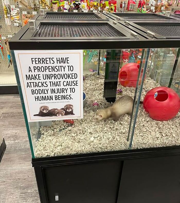 50 Times People Found Weird Or Hilarious Disclaimers That Were “Clearly The Result Of A Lawsuit” 50 Times People Found Weird Or Hilarious Disclaimers That Were “Clearly The Result Of A Lawsuit”