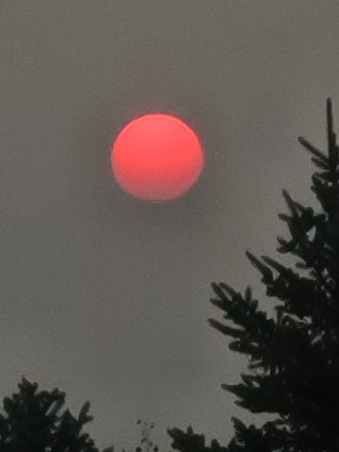 Hey Pandas, Post Your Favorite Picture Of The Sky That You’ve Taken Hey Pandas, Post Your Favorite Picture Of The Sky That You’ve Taken