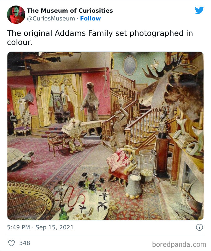 This Online Twitter Museum Posts Ridiculously Interesting Finds, Here Are 50 Of The Best Ones This Online Twitter Museum Posts Ridiculously Interesting Finds, Here Are 50 Of The Best Ones