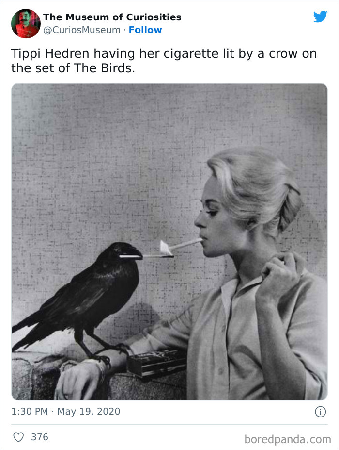 This Online Twitter Museum Posts Ridiculously Interesting Finds, Here Are 50 Of The Best Ones This Online Twitter Museum Posts Ridiculously Interesting Finds, Here Are 50 Of The Best Ones