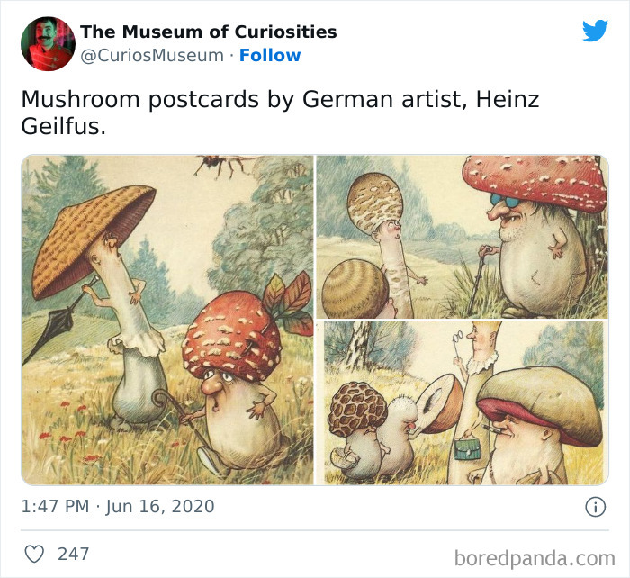 This Online Twitter Museum Posts Ridiculously Interesting Finds, Here Are 50 Of The Best Ones This Online Twitter Museum Posts Ridiculously Interesting Finds, Here Are 50 Of The Best Ones
