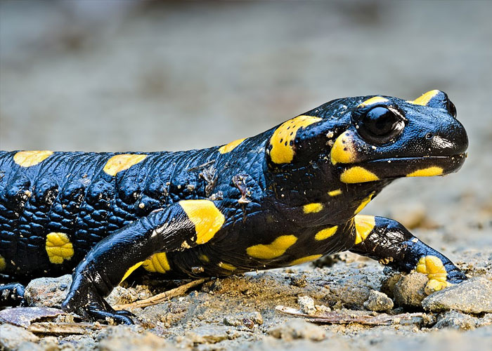 &#8220;Today I Learned&#8221;: 30 Interesting Facts You Might Not Know About The World (New Posts)