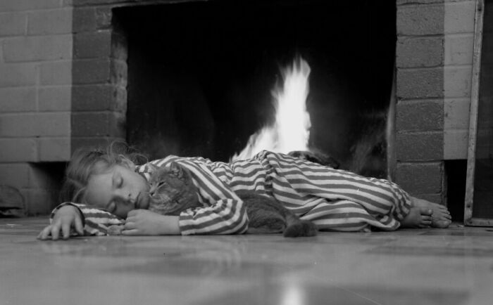 30 Of The Best Photos Shared By This Twitter Account That Collects Historic Photographs Of Cats With Their Stories