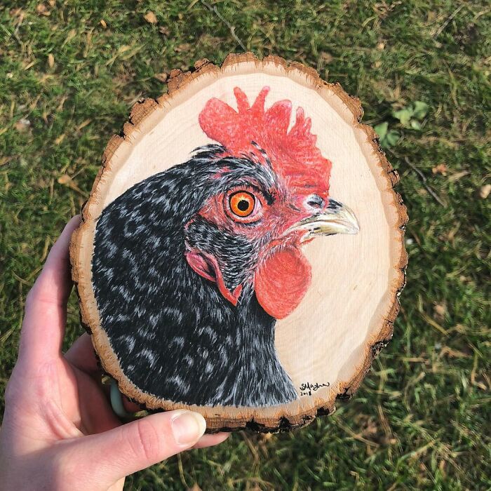 I Create Hyperrealistic Pencil Drawings Of Animals, Here Are 19 Of Them I Create Hyperrealistic Pencil Drawings Of Animals, Here Are 19 Of Them