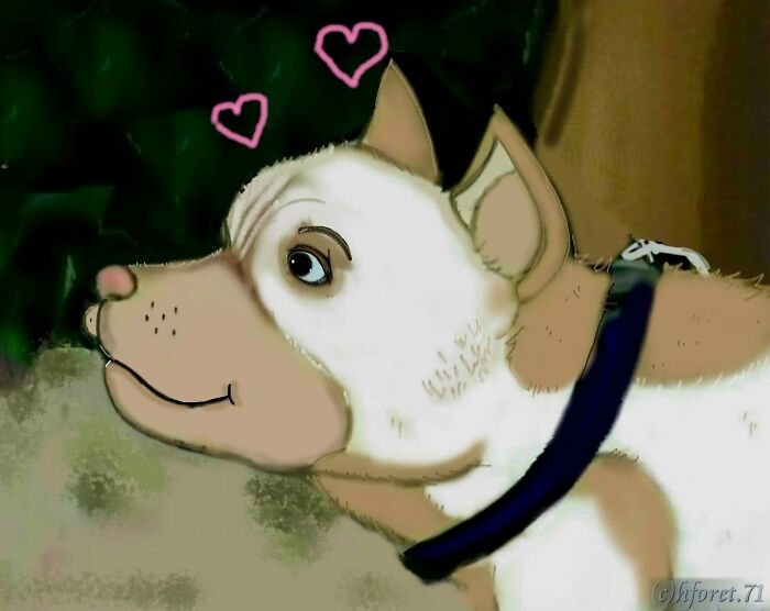 My Animal Comic Introducing A Pitbull Character Named &ldquo;King&rdquo;, Part 4 (12 Pics)