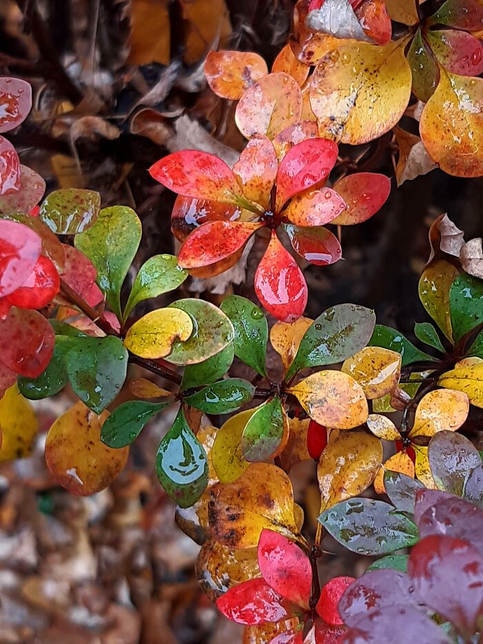 Hey Pandas, What’s The Most Professional-Looking Photo You’ve Taken With Your Phone? (Closed) Hey Pandas, What’s The Most Professional-Looking Photo You’ve Taken With Your Phone? (Closed)