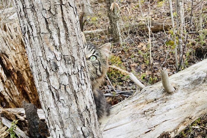 Hey Pandas, What’s The Most Professional-Looking Photo You’ve Taken With Your Phone? (Closed) Hey Pandas, What’s The Most Professional-Looking Photo You’ve Taken With Your Phone? (Closed)